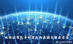 比特派钱包币种消失的原因及解决方法