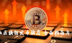 如何防止区块链发币骗局：全面指南与案例分析