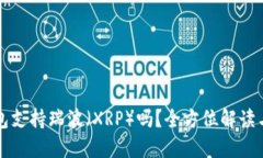 比特派钱包支持瑞波（XRP）吗？全方位解读与使