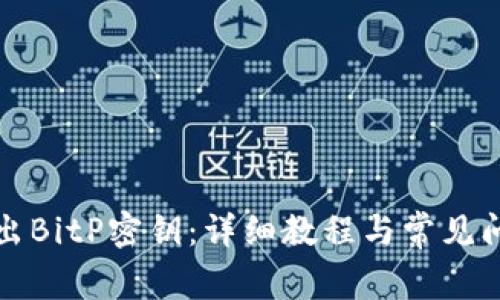 如何导出BitP密钥：详细教程与常见问题解答