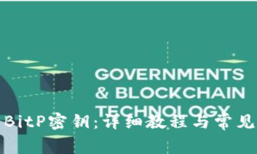 如何导出BitP密钥：详细教程与常见问题解答