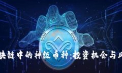 解析区块链中的神级币种：投资机会与风险分析