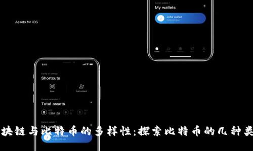 区块链与比特币的多样性：探索比特币的几种类型