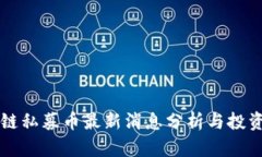 区块链私募币最新消息分析与投资指南