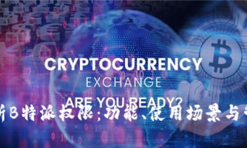 深入解析B特派权限：功能、使用场景与管理策略