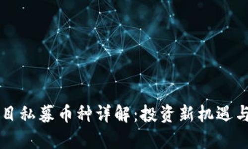 区块链项目私募币种详解：投资新机遇与风险分析
